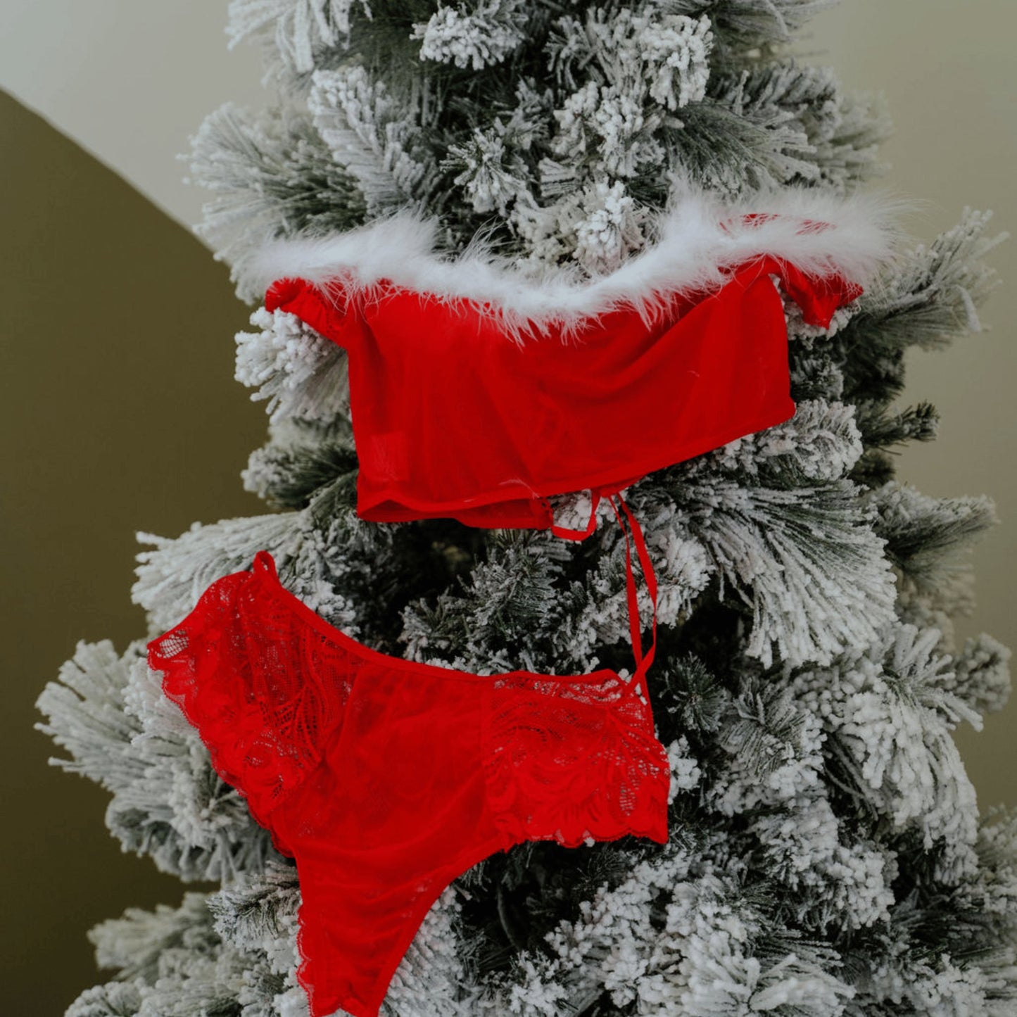 Festive Red 2 piece - EveryLoveIntimates