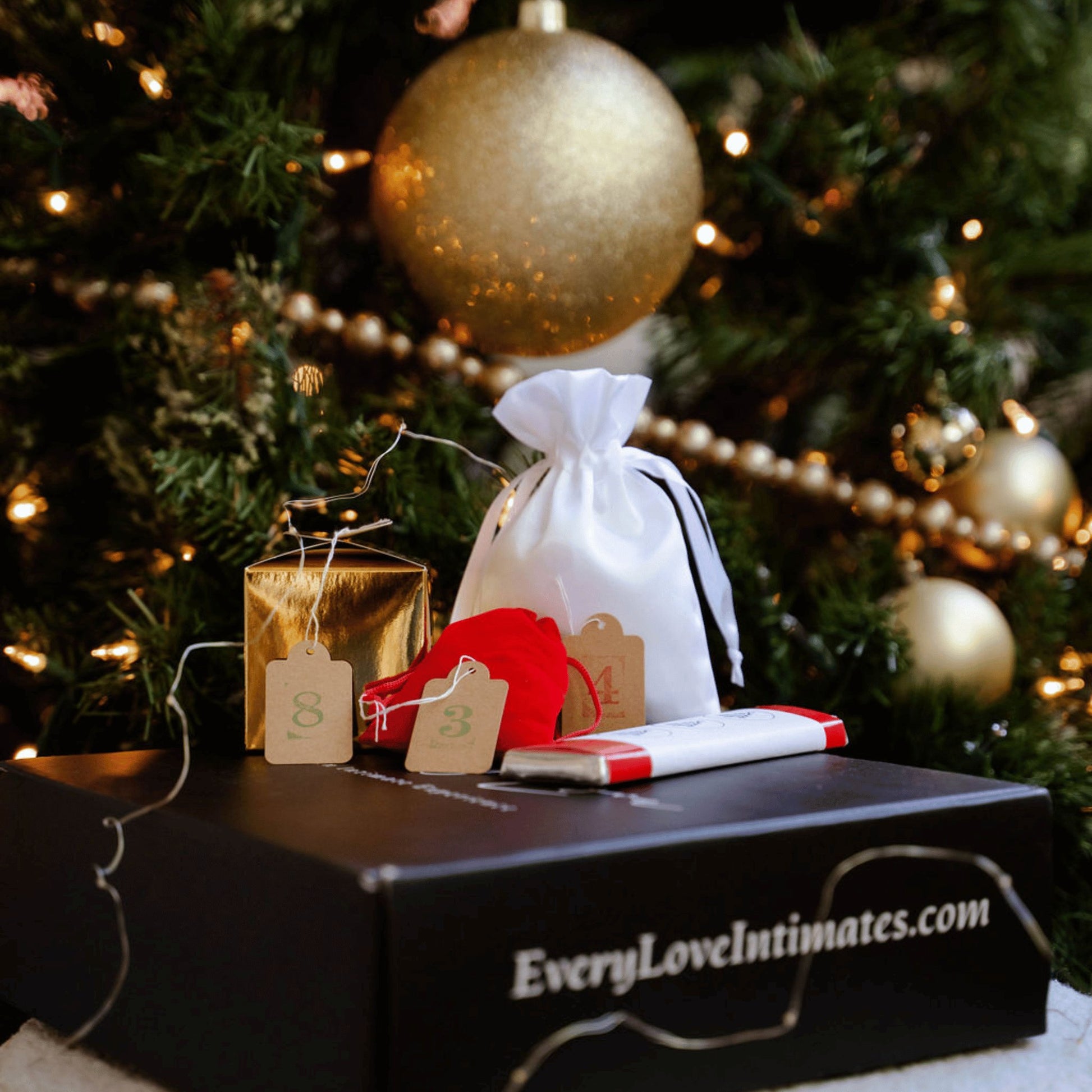 12 Sexy Days of Christmas in Collaboration with The Dating Divas - EveryLoveIntimates